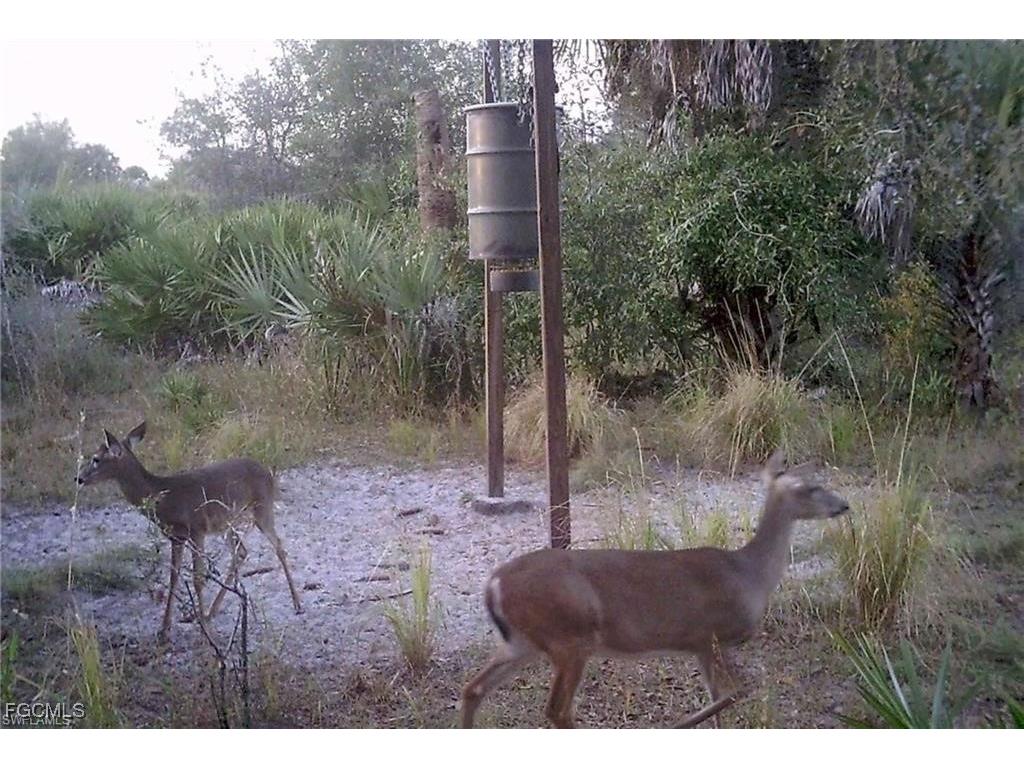 49673 Bermont Road Punta Gorda FL 33982 2025002987 image19