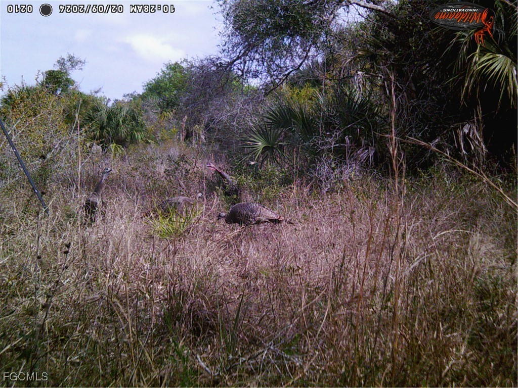 49673 Bermont Road Punta Gorda FL 33982 2025002987 image21