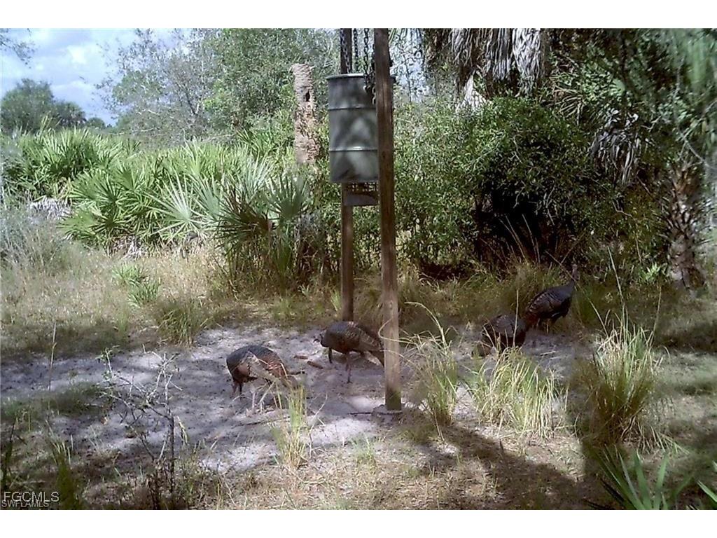 49673 Bermont Road Punta Gorda FL 33982 2025002987 image22