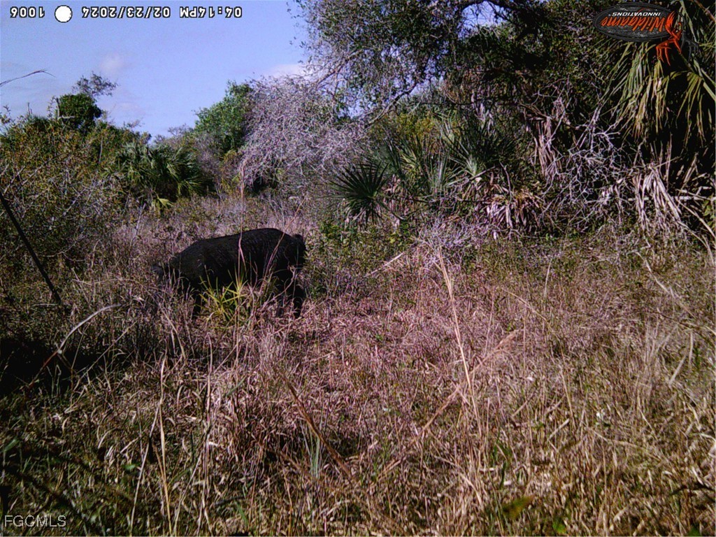 49673 Bermont Road Punta Gorda FL 33982 2025002987 image23