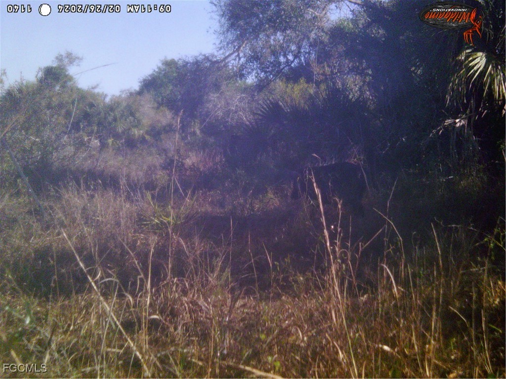 49673 Bermont Road Punta Gorda FL 33982 2025002987 image24