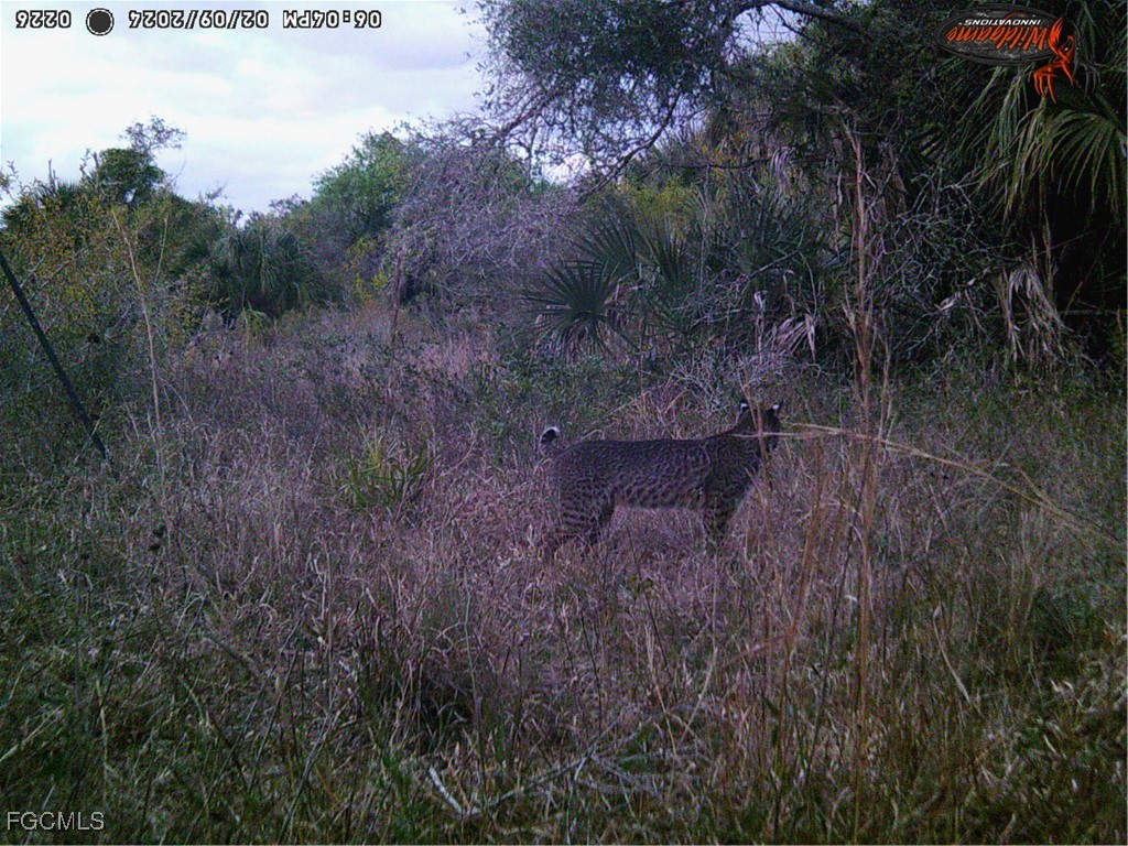 49673 Bermont Road Punta Gorda FL 33982 2025002987 image25