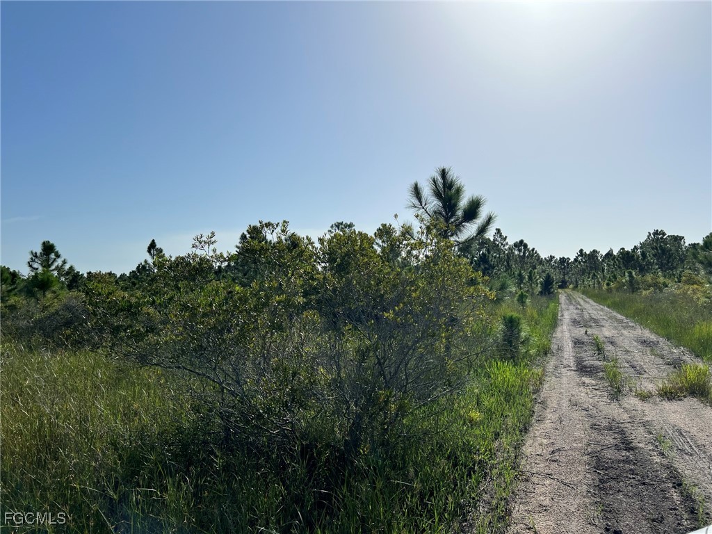 49673 Bermont Road Punta Gorda FL 33982 2025002987 image4