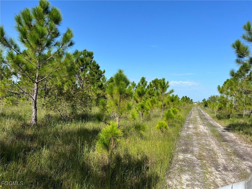 49673 Bermont Road Punta Gorda FL 33982 2025002987 image5