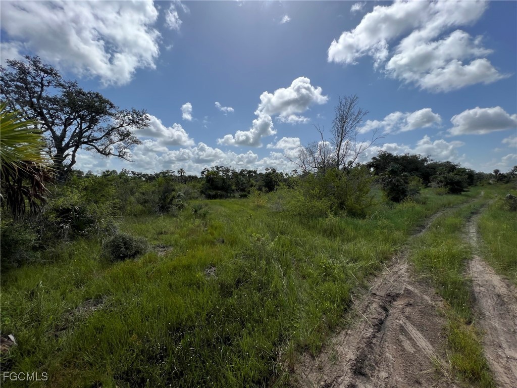 49673 Bermont Road Punta Gorda FL 33982 2025002987 image6