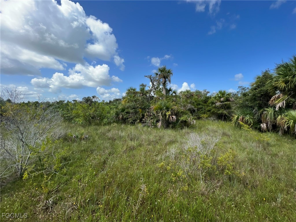 49673 Bermont Road Punta Gorda FL 33982 2025002987 image7