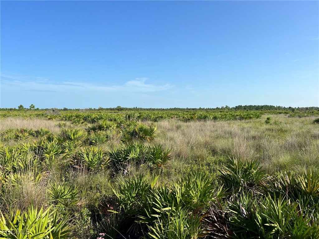 49673 Bermont Road Punta Gorda FL 33982 2025002987 image8