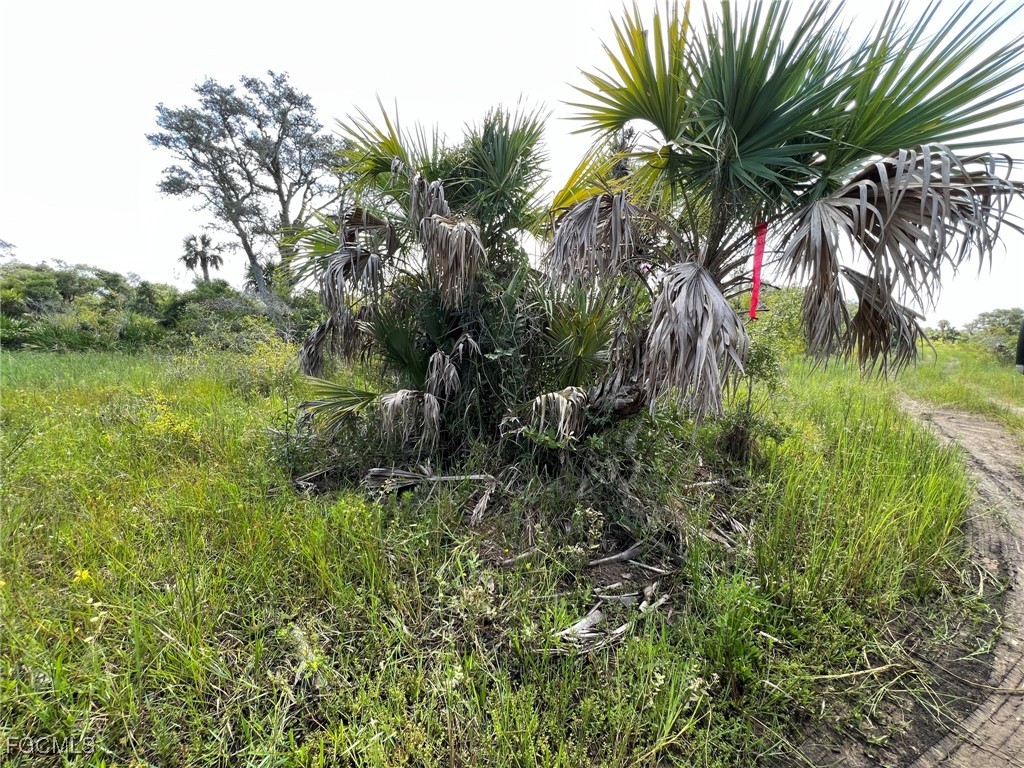 49673 Bermont Road Punta Gorda FL 33982 2025002987 image9