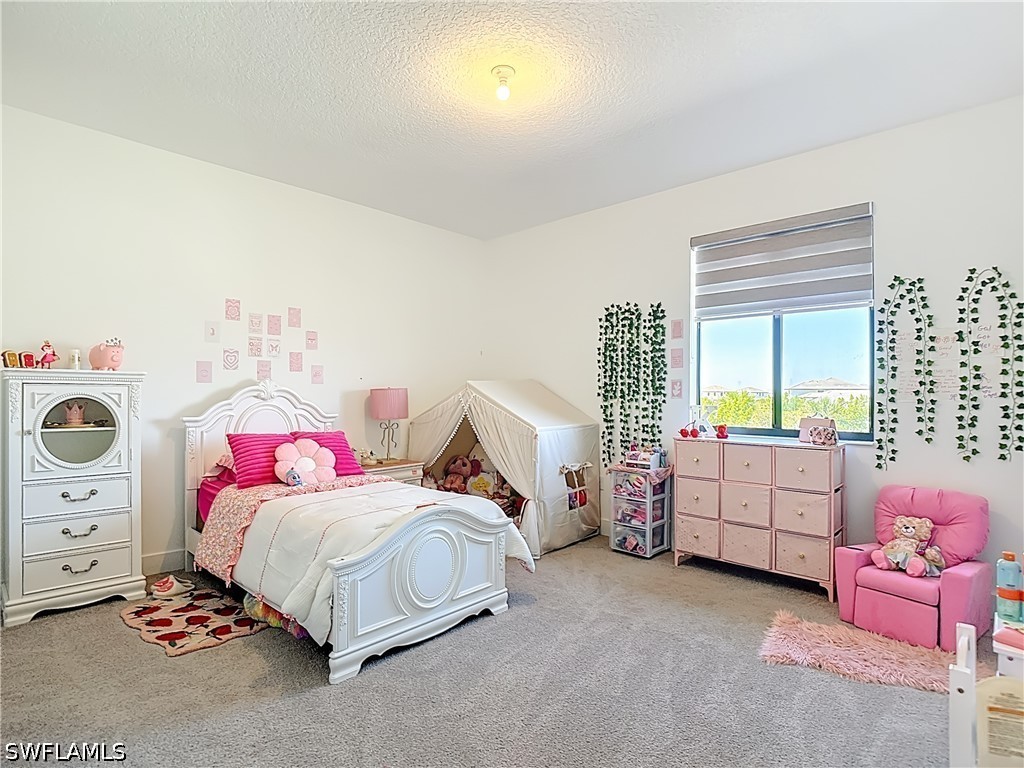 4970 Jovanne Street Ave Maria FL 34142 226012922 image15
