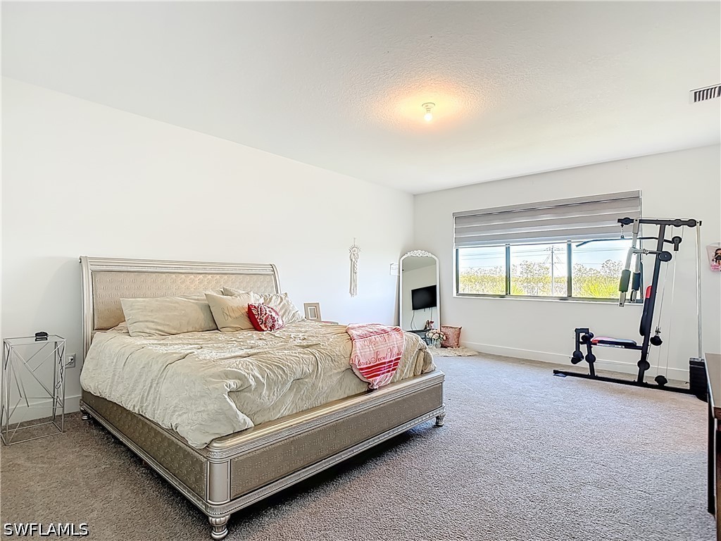 4970 Jovanne Street Ave Maria FL 34142 226012922 image18