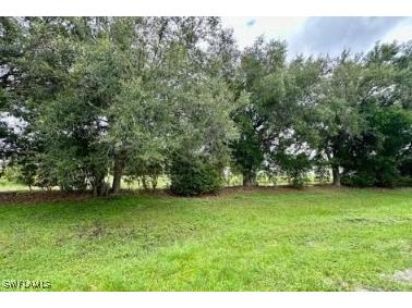 5 Bass Lane #5 Naples FL 34114 225074272 image7