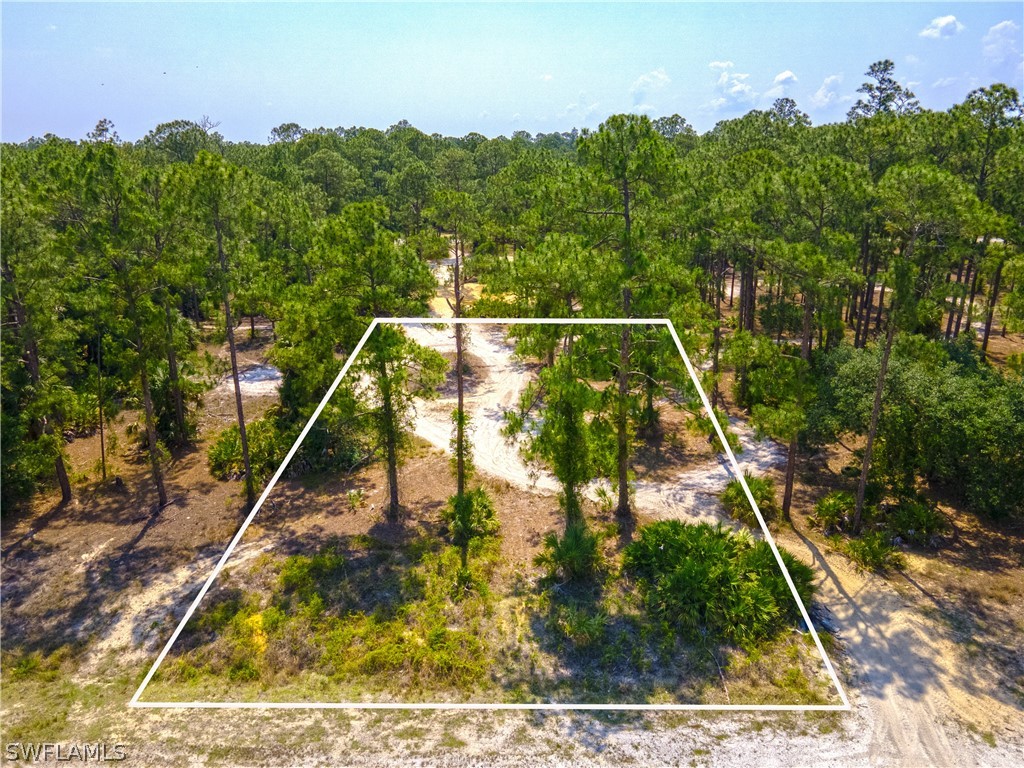 5 Louis Avenue Lehigh Acres FL 33936 224043963 image1