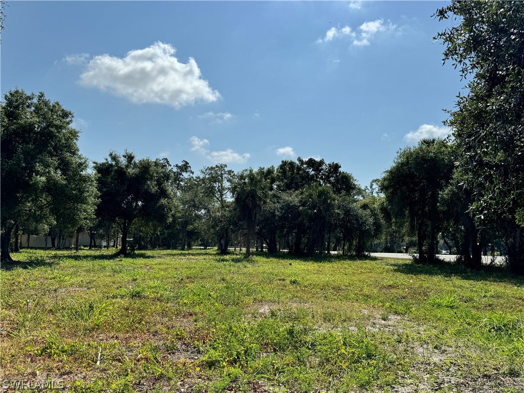 500 Avalon Avenue Labelle FL 33935 224058490 image5