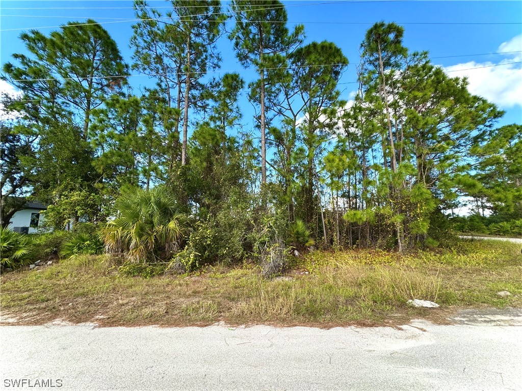 500 W 18th Street Lehigh Acres FL 33972 223085766 image1