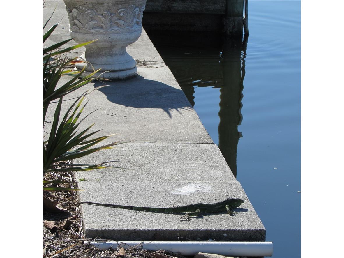 5004 Gulfgate Lane Other FL 33956 2026007790 image12