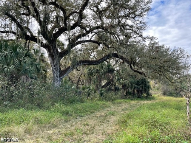 501 Norris Road Labelle FL 33935 2026024715 image1