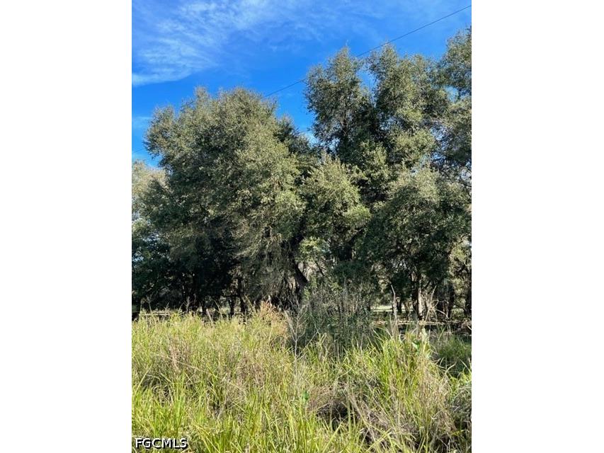 501 Norris Road Labelle FL 33935 2026024715 image11