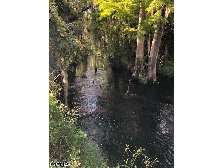 501 Norris Road Labelle FL 33935 2026024715 image15