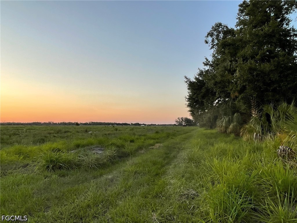 501 Norris Road Labelle FL 33935 2026024715 image4