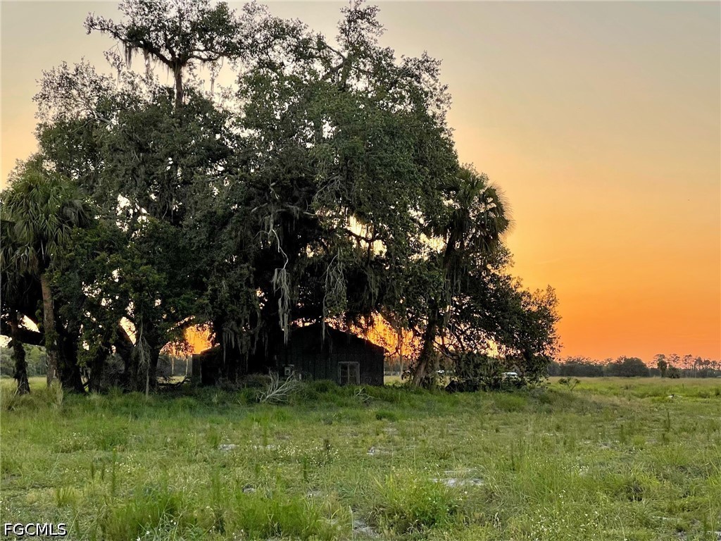 501 Norris Road Labelle FL 33935 2026024715 image5