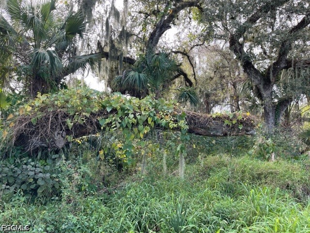 501 Norris Road Labelle FL 33935 2026024715 image9