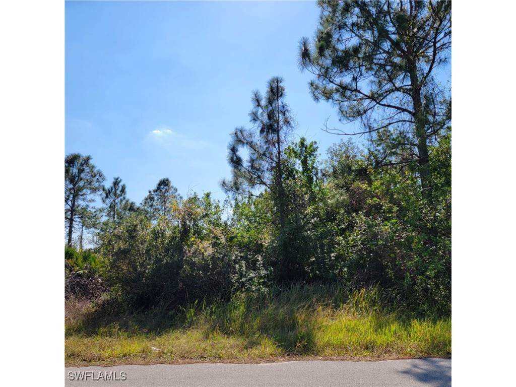 501 Willowbrook Drive Lehigh Acres FL 33972 225000006 image1