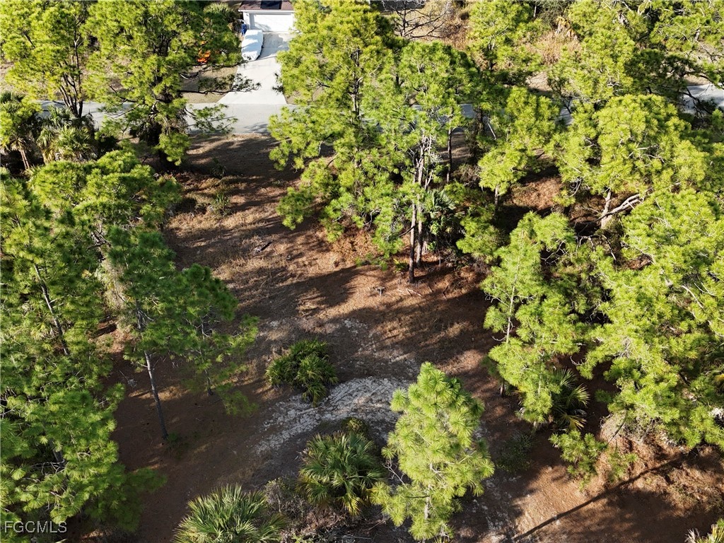 5010 Squaw Lane Labelle FL 33935 2026005697 image10