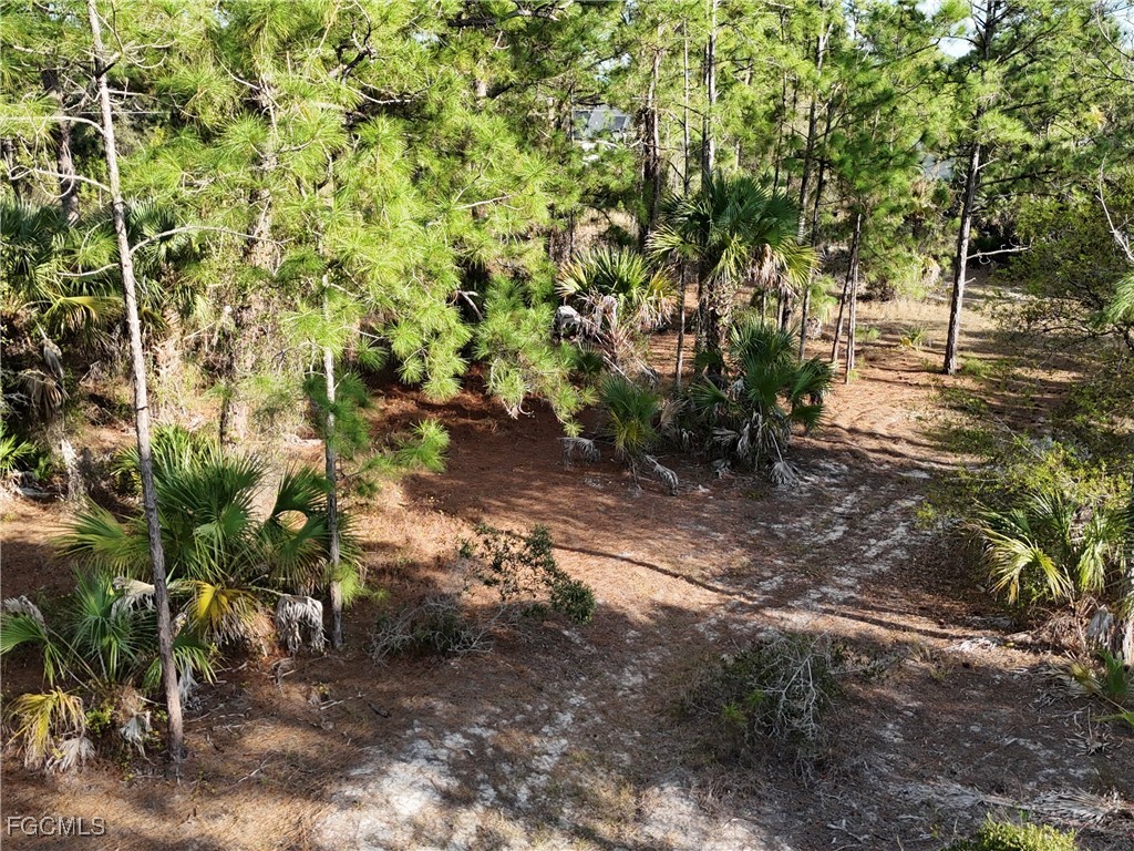 5010 Squaw Lane Labelle FL 33935 2026005697 image11