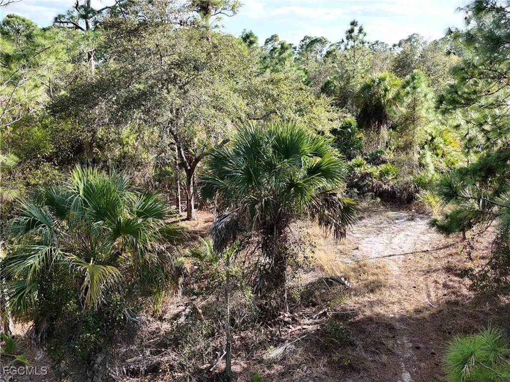 5010 Squaw Lane Labelle FL 33935 2026005697 image12