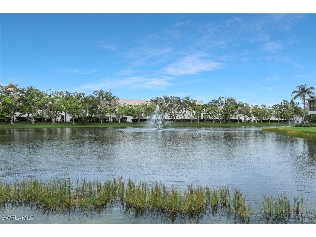 5012 Maxwell Circle #101 Naples FL 34105 225071793 image22