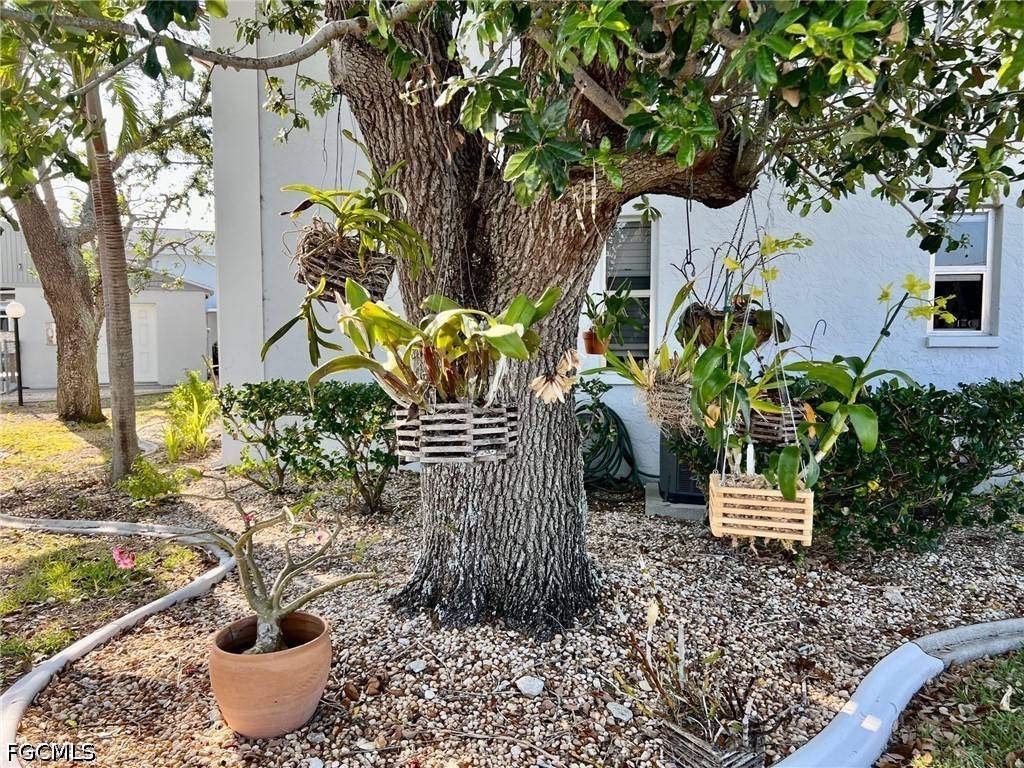 5024 Chiquita Boulevard S #102 Cape Coral FL 33914 2026017568 image5