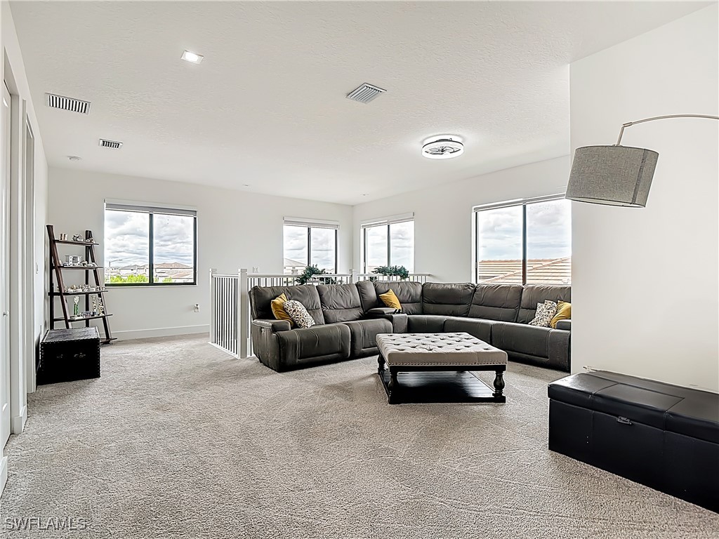 5024 Gambero Way Ave Maria FL 34142 225071667 image14