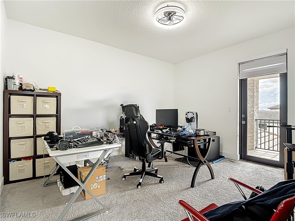 5024 Gambero Way Ave Maria FL 34142 225071667 image18