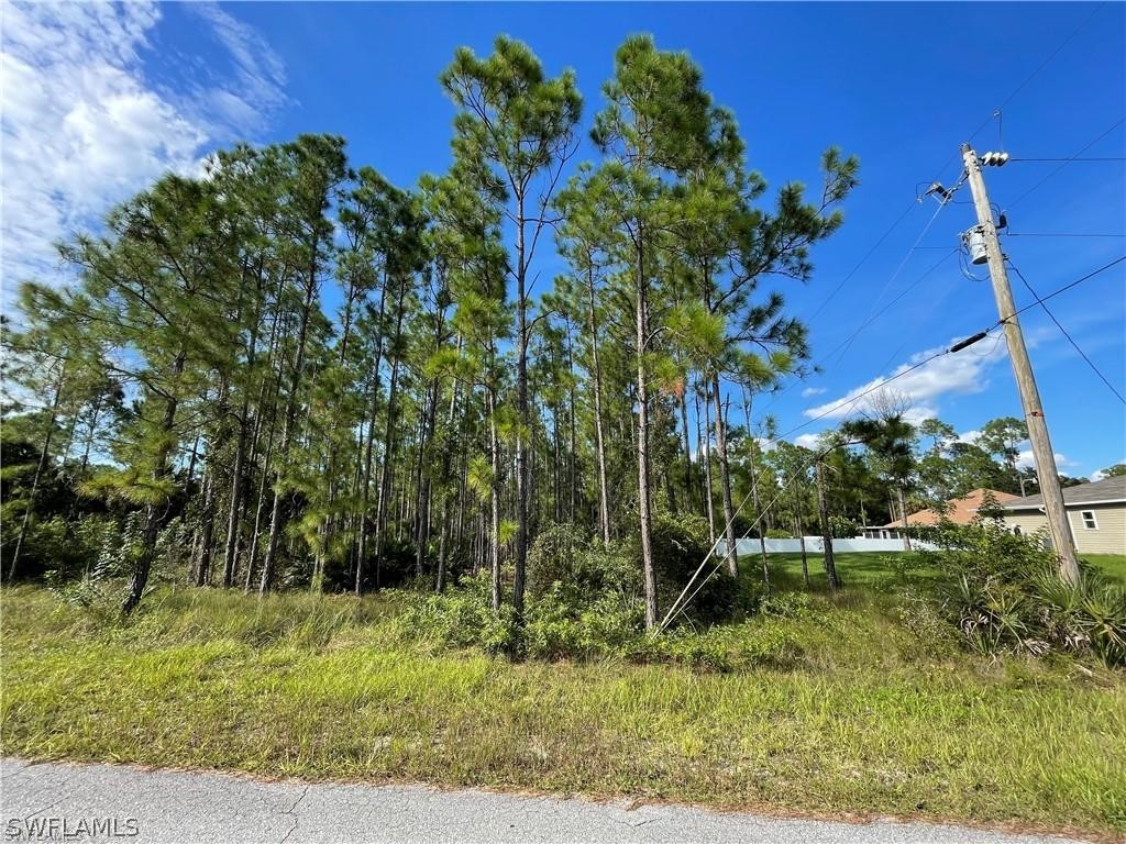 503 E 11th Street Lehigh Acres FL 33972 224031677 image1