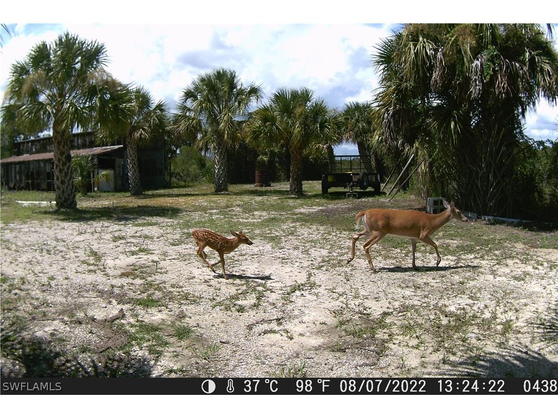 50316 Bermont Road Punta Gorda FL 33982 224059889 image1