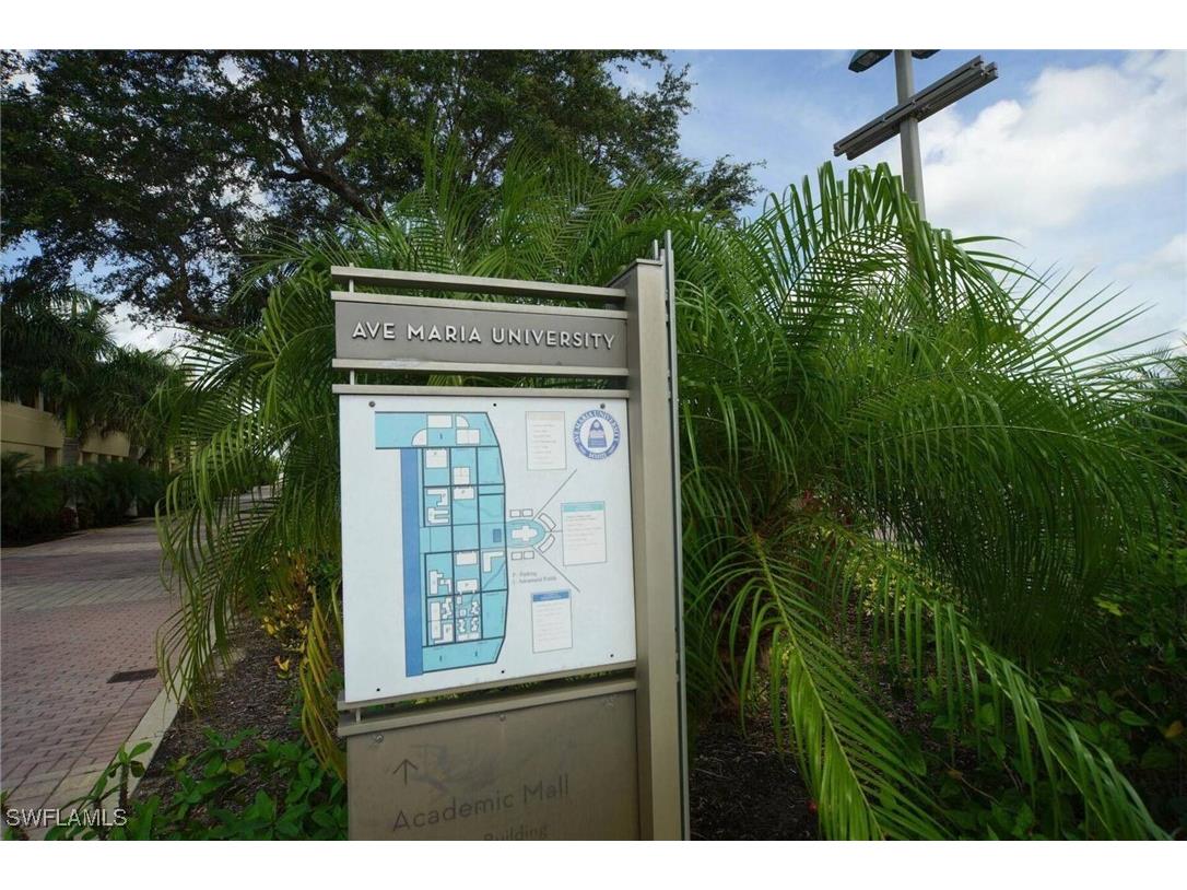 5032 Arancia Lane Ave Maria FL 34142 225030522 image42