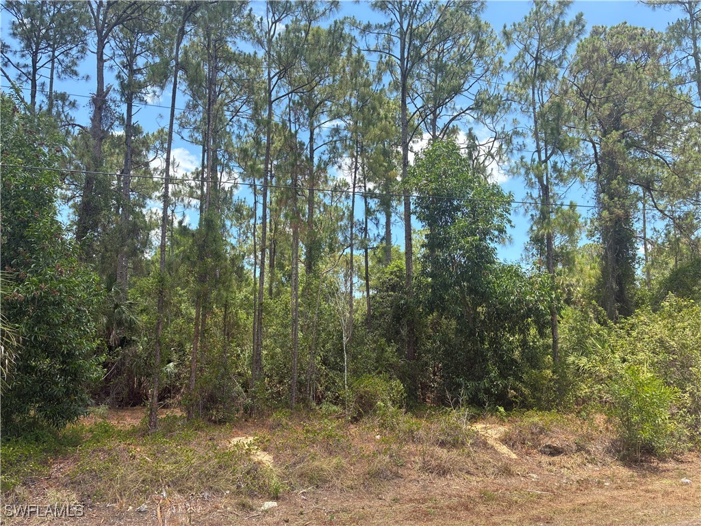 5043 Palmetto Woods Drive Naples FL 34119 225045701 image1