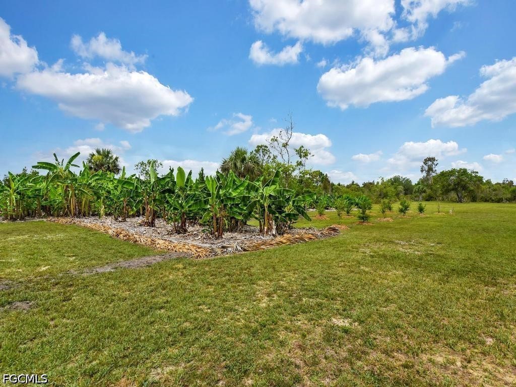 50436 Bermont Road Punta Gorda FL 33982 2026025970 image10