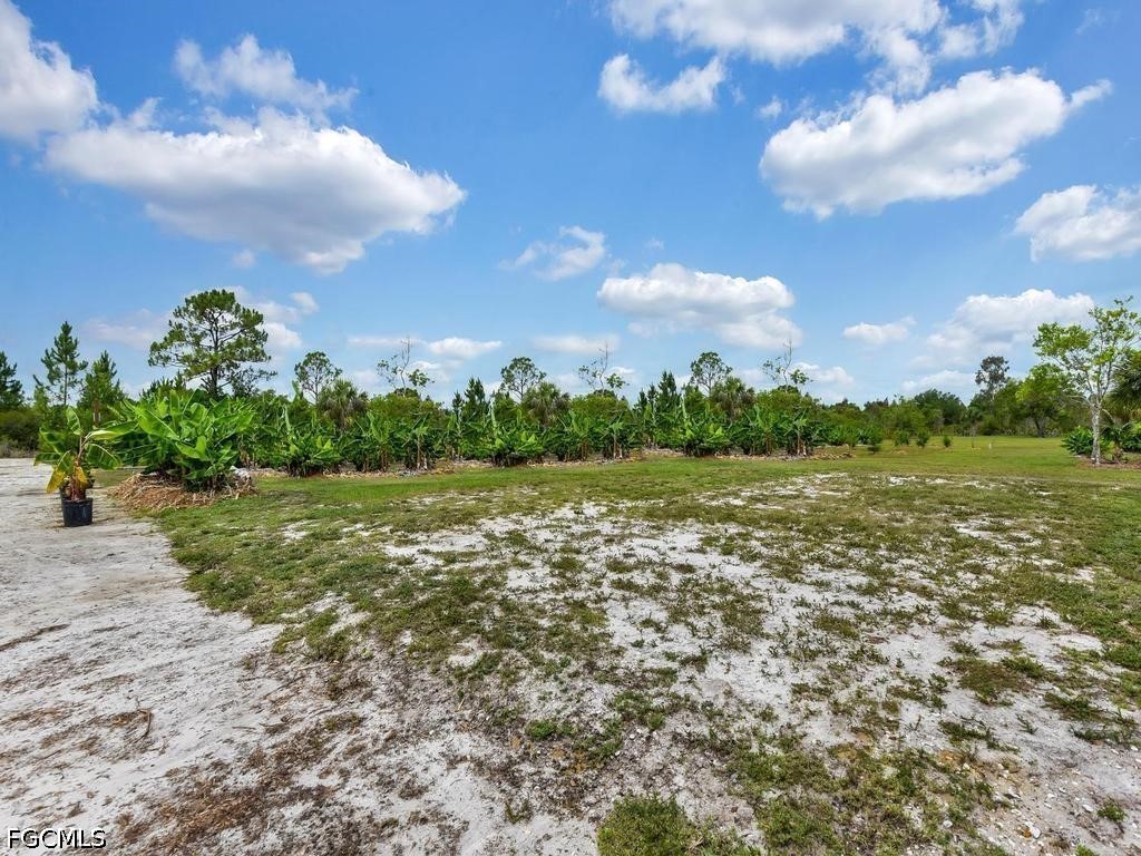 50436 Bermont Road Punta Gorda FL 33982 2026025970 image17