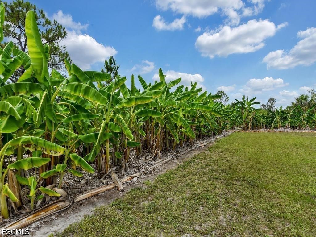 50436 Bermont Road Punta Gorda FL 33982 2026025970 image22