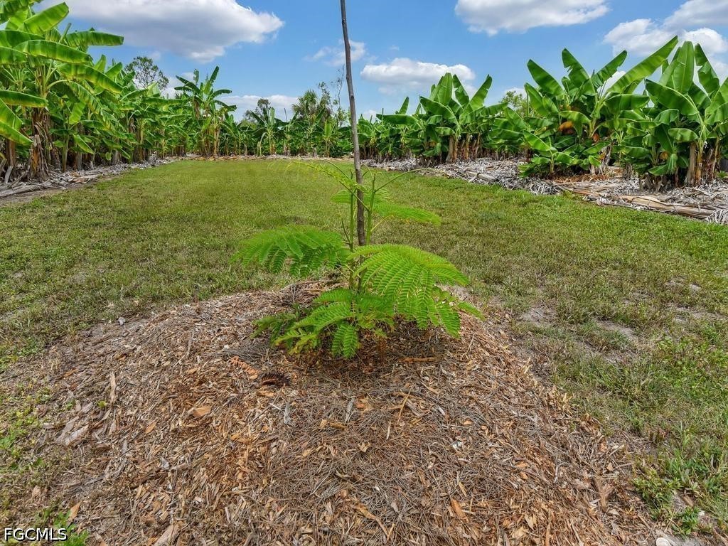 50436 Bermont Road Punta Gorda FL 33982 2026025970 image23