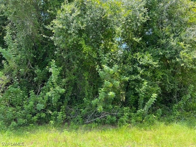 505 Prospect Avenue Lehigh Acres FL 33972 224057029 image1