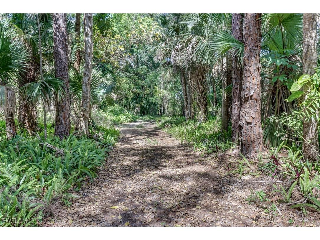 5051 Green Boulevard Naples FL 34116 225080472 image4