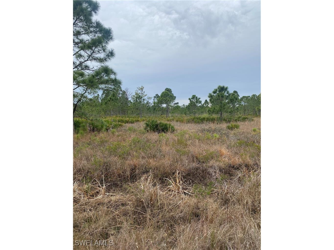 50522 Bermont Road Punta Gorda FL 33982 226005421 image2
