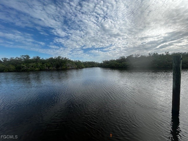 5060 Esplanade Street Bonita Springs FL 34134 2025004411 image1