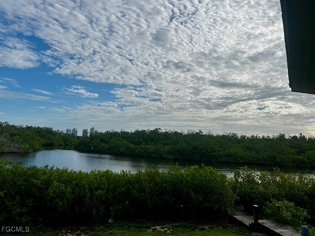 5060 Esplanade Street Bonita Springs FL 34134 2025004411 image5