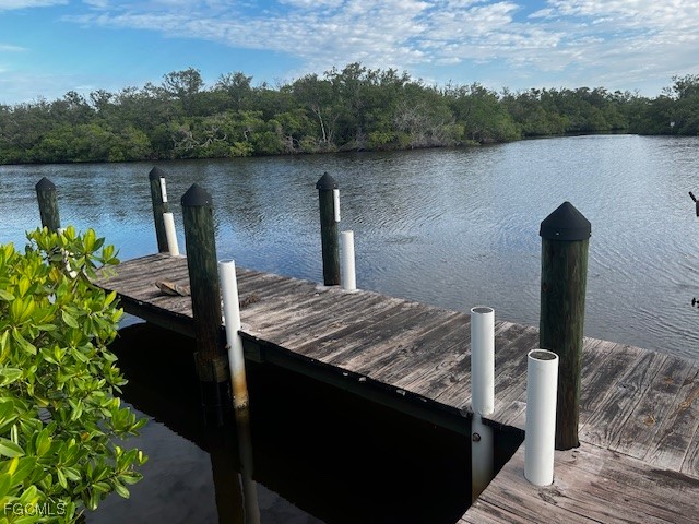 5060 Esplanade Street Bonita Springs FL 34134 2025004411 image7