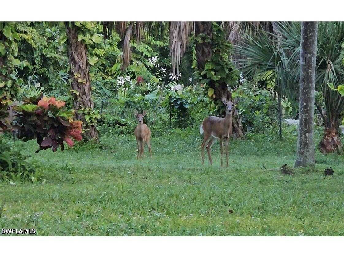 5061 Mahogany Ridge Drive Naples FL 34119 226019612 image24