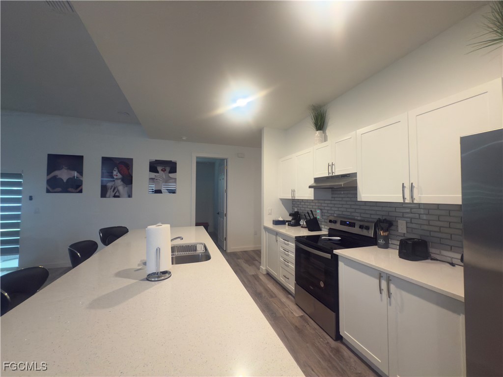 507 NW 1st Terrace Cape Coral FL 33993 2025005588 image17