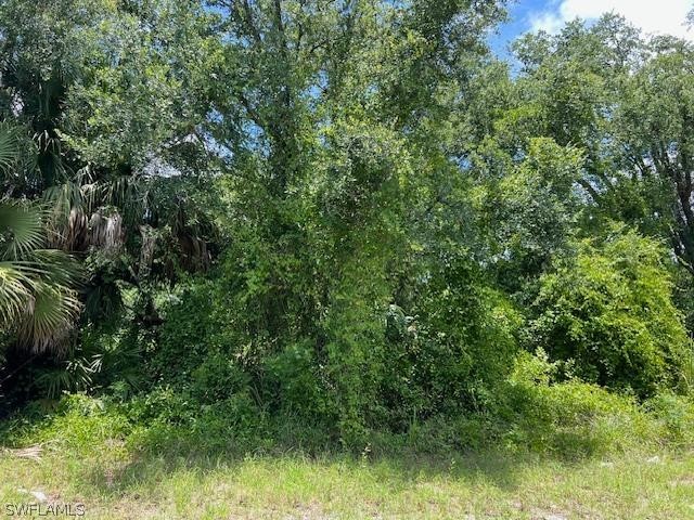 507 Prospect Avenue Lehigh Acres FL 33972 224057030 image1